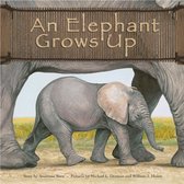 Wild Animals - An Elephant Grows Up