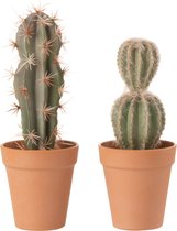 Cactus - Cactus+pot | kunststof | groen | 9.5x9.5x (h)26.5 cm