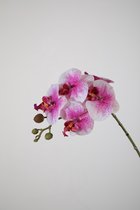 Kunstbloem - set van 2 - Phalaenopsis orchidee - decoratieve tak -  46 cm - roze