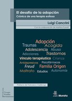 Terapia familiar iberoamericana 14 - El desafío de la adopción. Crónica de una terapia exitosa
