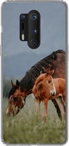 Geschikt voor OnePlus 8 Pro hoesje - Paarden - Veulen - Natuur - Siliconen Telefoonhoesje