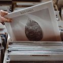 Hand pakt een LP-hoes met het artwork "ROO PANES" uit een bak met LP's.