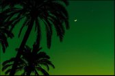 Walljar - Silhouet Groene Lucht - Muurdecoratie - Canvas schilderij