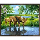 Eagle® Diamond Painting Volwassenen - Paarden bij Beek - 50x40cm - Vierkante Steentjes