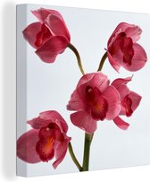 Tableau sur toile Orchidées rouges devant fond clair - 90x90 cm - Décoration murale