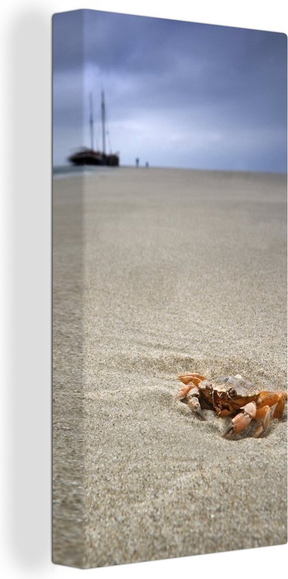 Tableau sur toile Un crabe sur la plage de Terschelling hollandais - 40x80 cm - Décoration murale