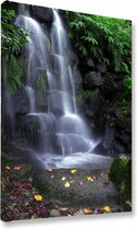 Akoestische panelen - Geluidsisolatie - Akoestische wandpanelen - Akoestisch schilderij AcousticBudget® - paneel met waterval en gekleurde bladeren - design 201 - 40x60 - Wanddecor