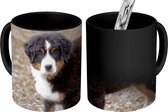 Magische Mok - Foto op Warmte Mok - Berner Sennenhond puppy in de ochtend - 350 ML