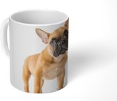 Mok - Franse Bulldog - Bruin - Wit - 350 ML - Beker