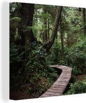 Canvas Schilderij Houten brug in de bemoste bossen van het regenwoud in Costa Rica - 90x90 cm - Wanddecoratie