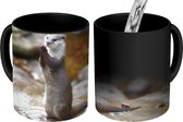 Magische Mok - Foto op Warmte Mokken - Koffiemok - Otter staat rechtop - Magic Mok - Beker - 350 ML - Theemok