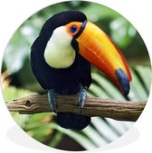 Wall Circle - Wall Circle Indoor - Un toucan regarde d'une branche - ⌀ 120 cm - Décoration murale - Peintures Ronds XXL