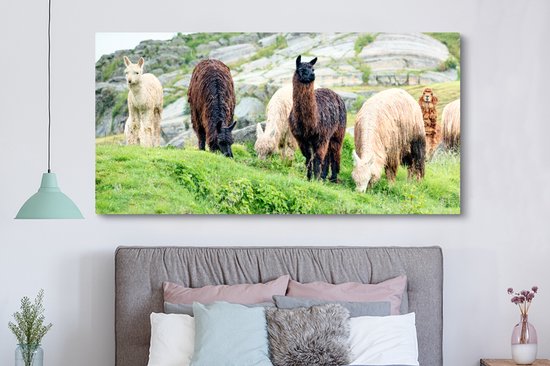 Tableau sur Toile Alpaga - Berg - Herbe - 160x80 cm - Décoration murale