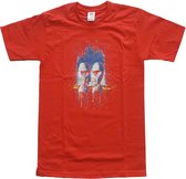 Pink Floyd Kinder Tshirt -Kids tm 10 jaar- Division Bell Drip Rood