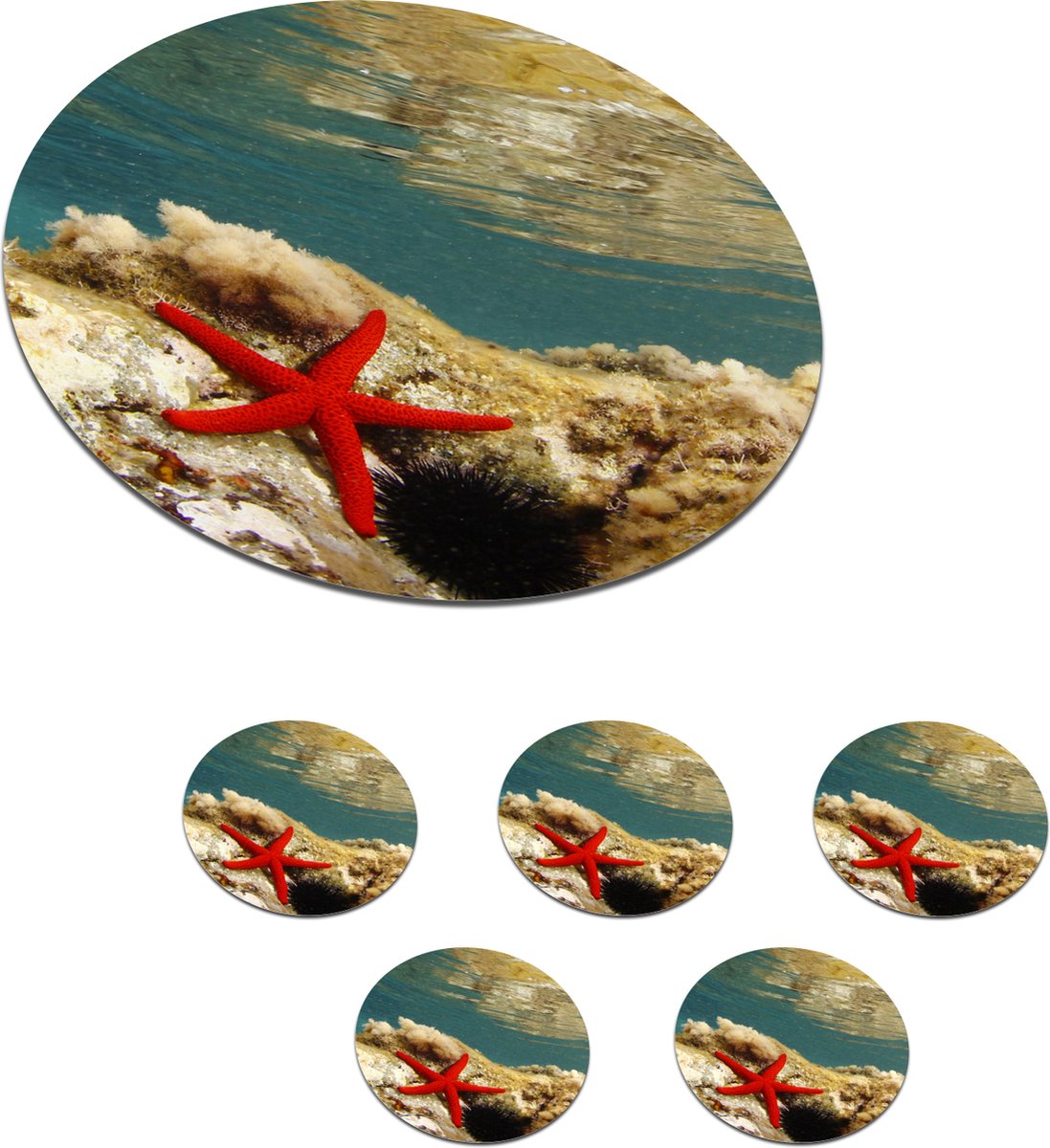 Onderzetters voor glazen - Rond - Zeester - Koraal - Zee - 10x10 cm - Glasonderzetters - 6 stuks