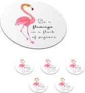 Sous-verres - Ronds - Flamingo - Vogel - Aquarelle - Citations - 10x10 cm - 6 pièces