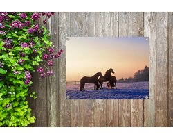 Tuin decoratie Friese paarden in de winter - 40x30 cm - Tuindoek