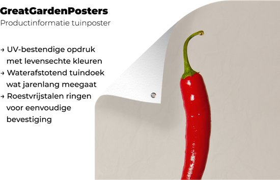 Affiche de jardin - Toile de jardin - Posters de jardin extérieur - Piment espagnol - 80x120 cm - Jardin