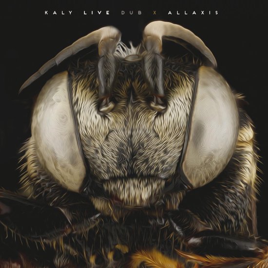 Kaly Live Dub - Allaxis (2 LP) (Coloured Vinyl)