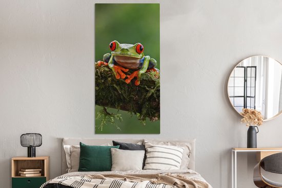 Peinture sur toile Grenouille aux yeux rouges sur une branche couverte - 80x160 cm - Décoration murale