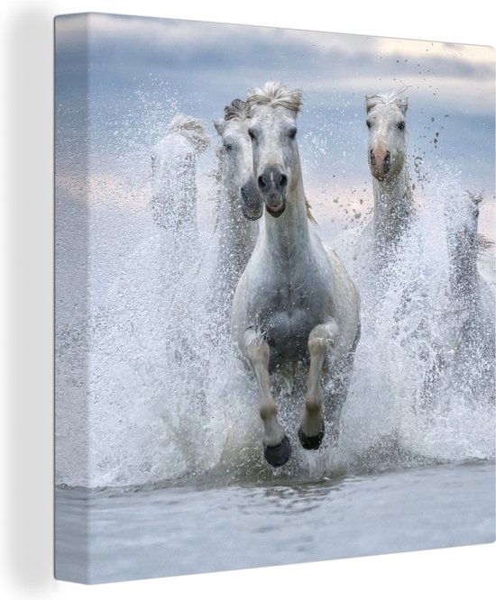 Canvas Schilderij Kudde witte paarden galoppeert door het water in Camargue - 20x20 cm - Wanddecoratie