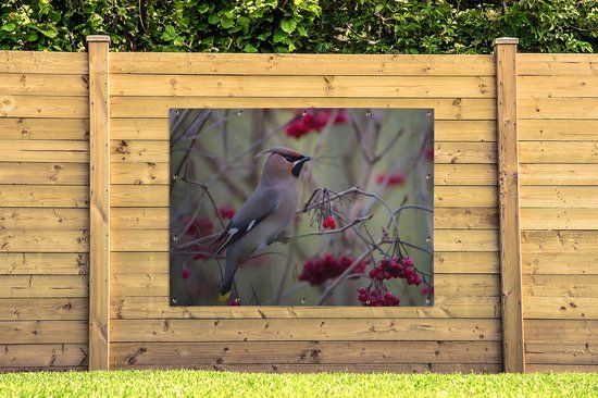 Muurdecoratie buiten Pestvogel in een bessenstruik - 160x120 cm - Tuindoek - Buitenposter