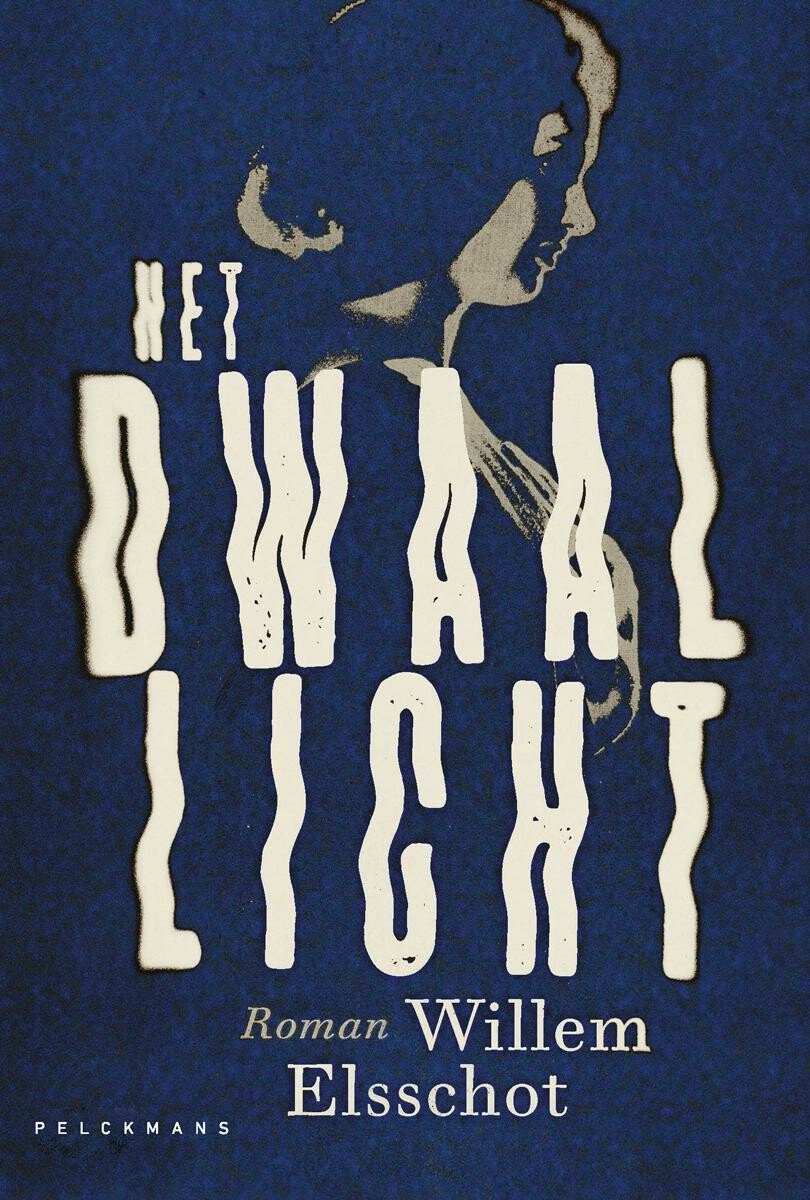 Omslag van Het dwaallicht