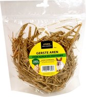 UTOPIA GERSTE AREN 90GR