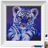 Artstudioclub® Strass steentjes Diamond painting volwassenen  30x30cm  Witte tijger pub