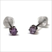 Aramat jewels ® - Zirkonia zweerknopjes hartje 3mm oorbellen paars chirurgisch staal