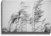Walljar - Tarwekorrels In De Wind - Muurdecoratie - Canvas schilderij