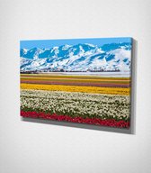 Tulip Field Near Mountain Canvas - 60 x 40 cm - Landschap - Schilderij - Canvas - Slaapkamer - Wanddecoratie  - Slaapkamer - Foto op canvas