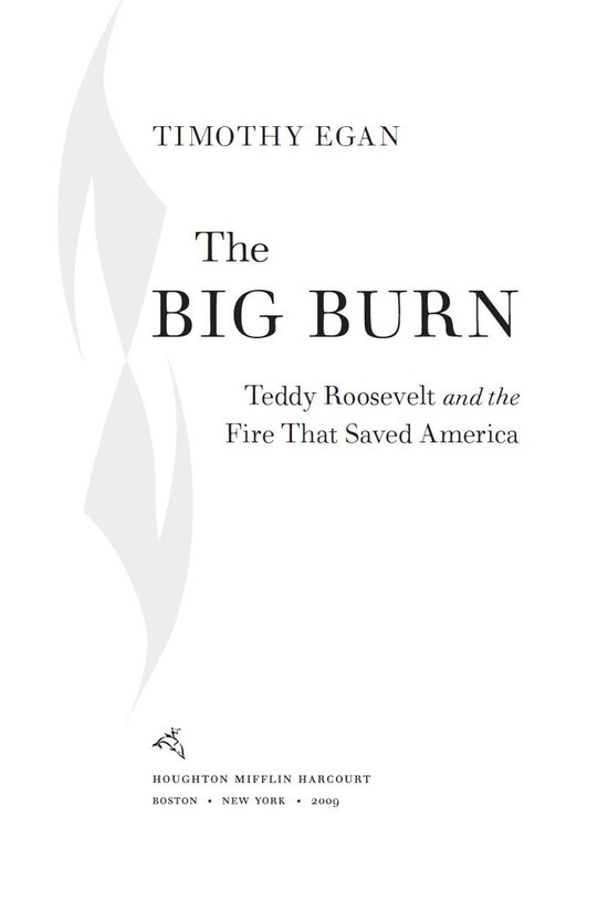 The Big Burn - cover