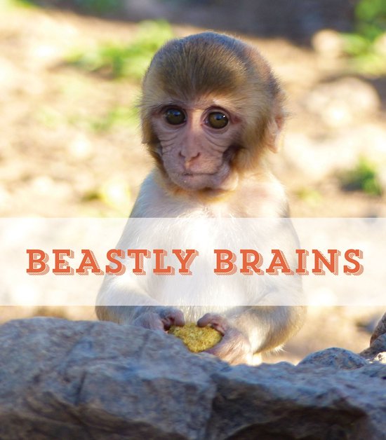 Beastly Brains - cover