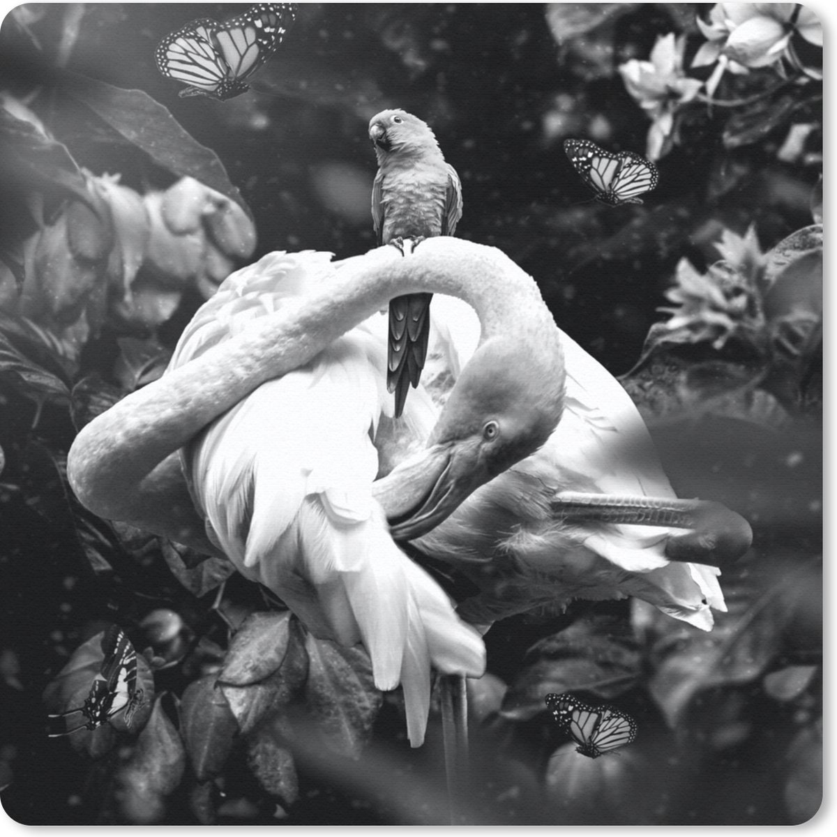 Muismat 20x20 cm - Mousepad Planten - Flamingo - Jungle - Zwart - Wit - Muismatten