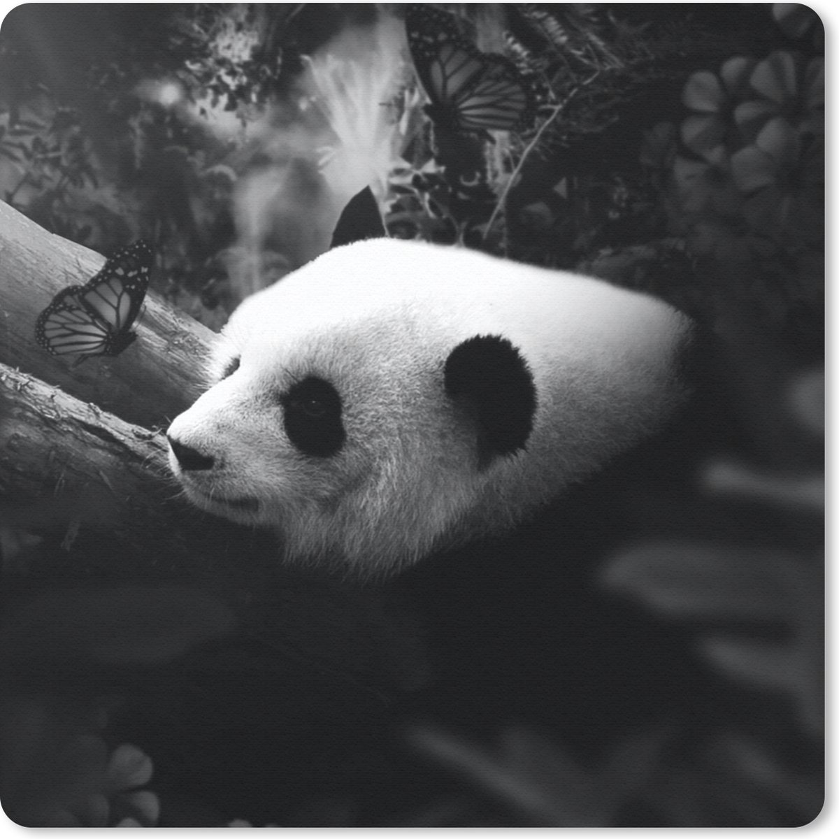 Muismat 20x20 cm - Mousepad Dieren - Jungle - Panda - Zwart - Wit - Muismatten