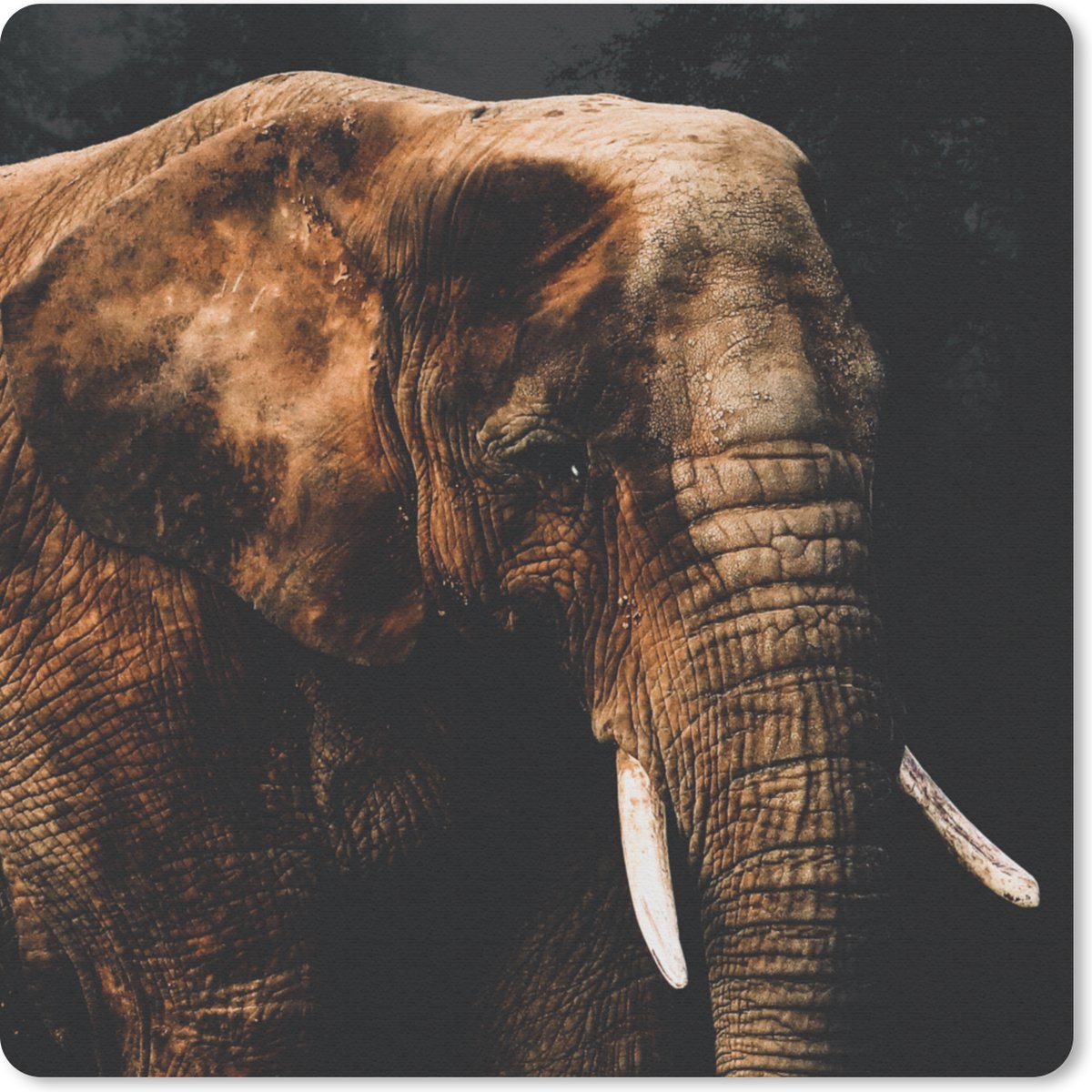 Muismat 20x20 cm - Mousepad Olifant - Dieren - Bruin - Muismatten