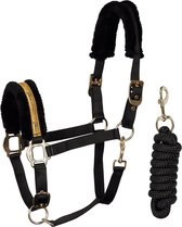 Harry's Horse Halsterset  Denici Cavalli Gold Glitter - Black-gold - pony