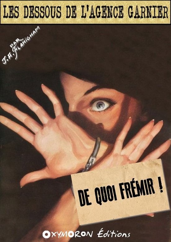 De quoi frémir ! (ebook), J.A. Flanigham 9782373476941 Boeken
