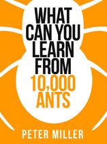Collins Shorts 4 - What You Can Learn From 10,000 Ants (Collins Shorts, Book 4)