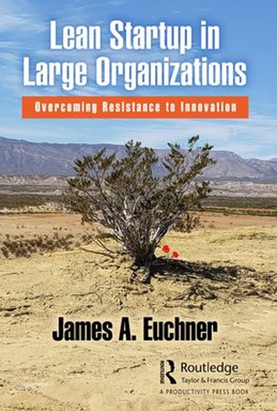 Lean Startup in Large Organizations - cover