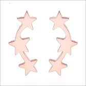 Aramat jewels ® - Oorbellen 3 sterren zweerknopjes rosékleurig chirurgisch staal 10mm