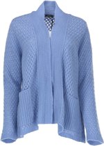 Cardigan Blauw