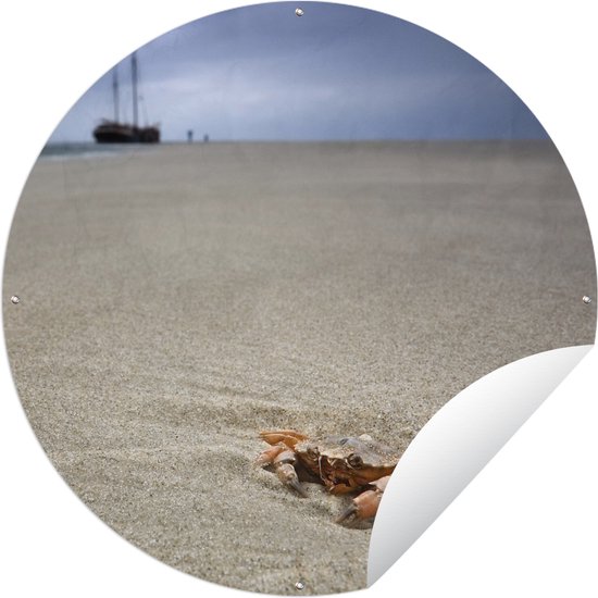 Tuincirkel Een krab op het strand van het Nederlandse Terschelling - 90x90 cm - Ronde Tuinposter - Buiten