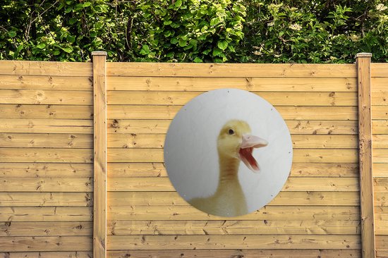 Tuincirkel Portret van een baby eend - 120x120 cm - Ronde Tuinposter - Buiten XXL / Groot formaat!