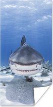 Poster Aanzwemmende haai - 80x160 cm