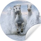 WallCircle - Muurstickers - Behangcirkel - Kudde witte paarden galoppeert door het water in Camargue - 80x80 cm - Muurcirkel - Zelfklevend - Ronde Behangsticker