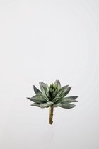Kunstplant - Echeveria - vetplant - cactus - topkwaliteit decoratie - 2 stuks - zijden tak - Groen - 19 cm hoog