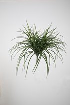 Kunstplant - gras - topkwaliteit decoratie - 2 stuks - zijden boeket - Groen - 51 cm hoog