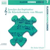Stefan Schaub - Juwelen Der Inspiration Volume 7 (CD)